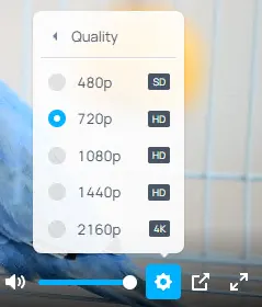 image-20250828153139688